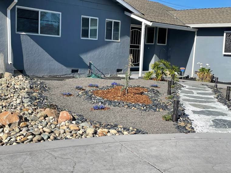 Garden pathway through established planting