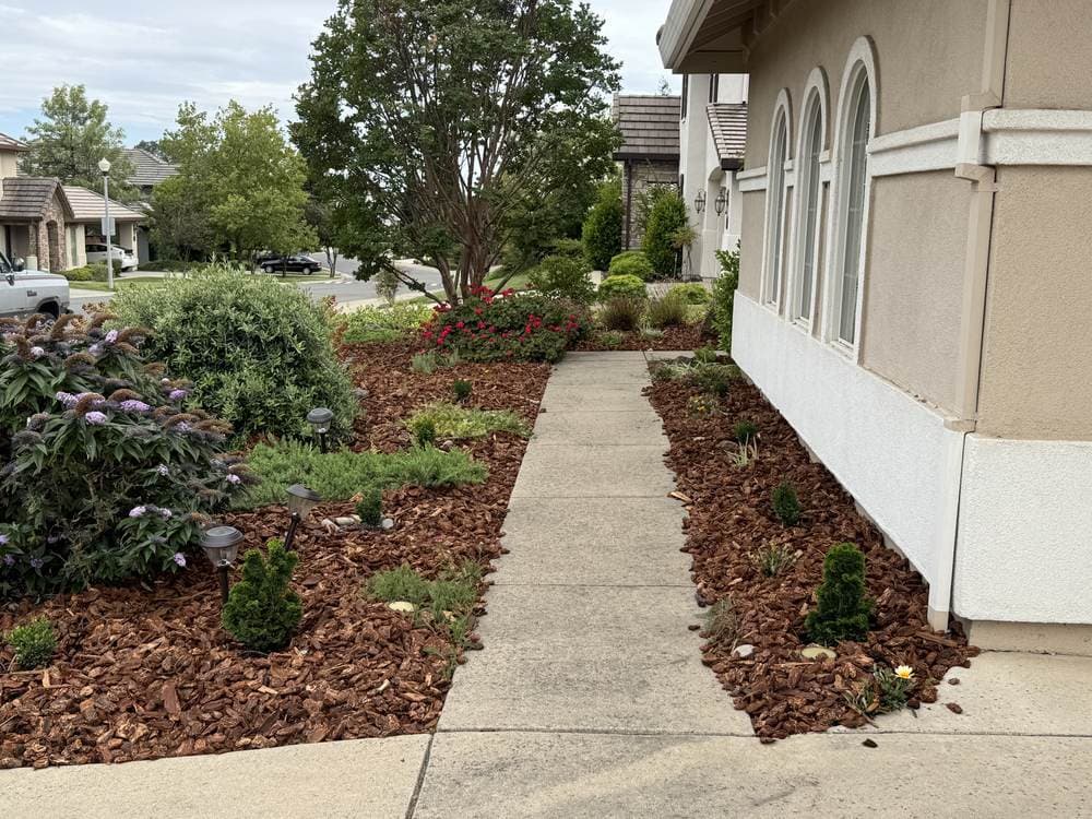 Drought-tolerant foothill frontage planted with natives and Mediterranean species